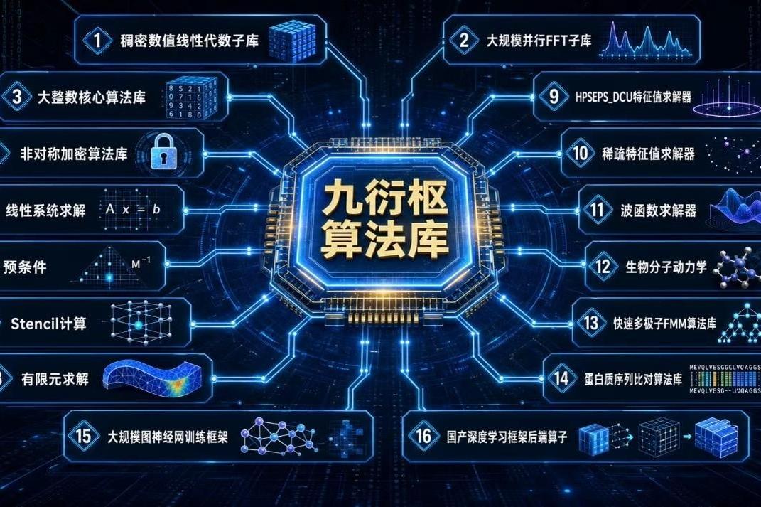 邓亚萍谈金琴英比张本美和