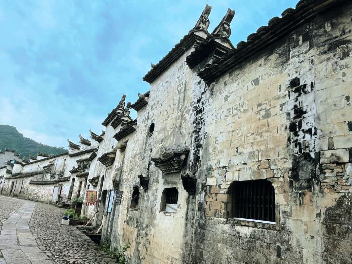 中国人民的好朋友为了友谊跨越山海