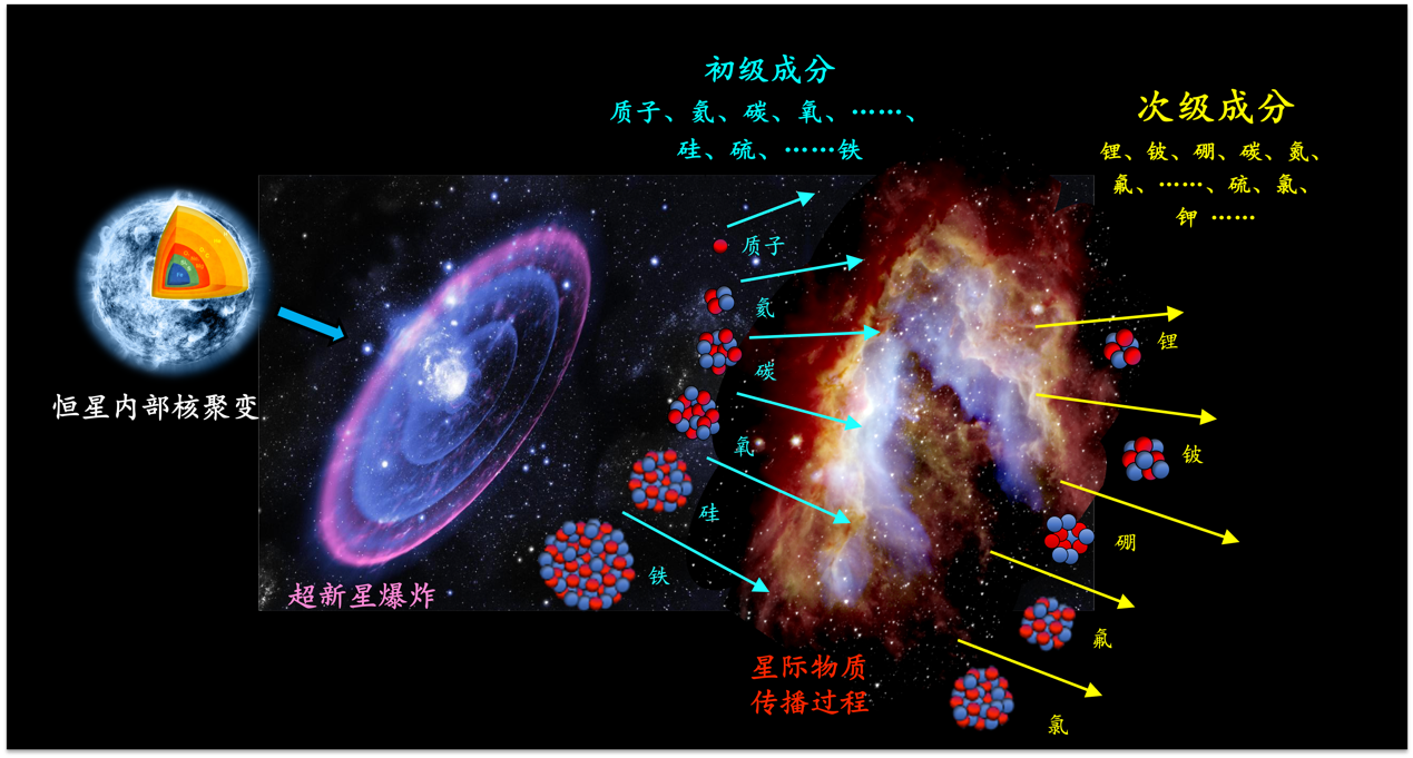 心动的信号