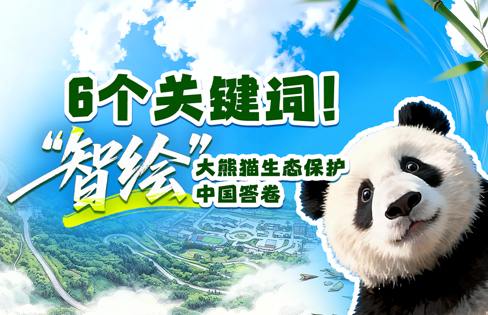 李沐宸谈自愿从长剧转短剧