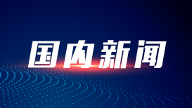 文章模仿向佐动作