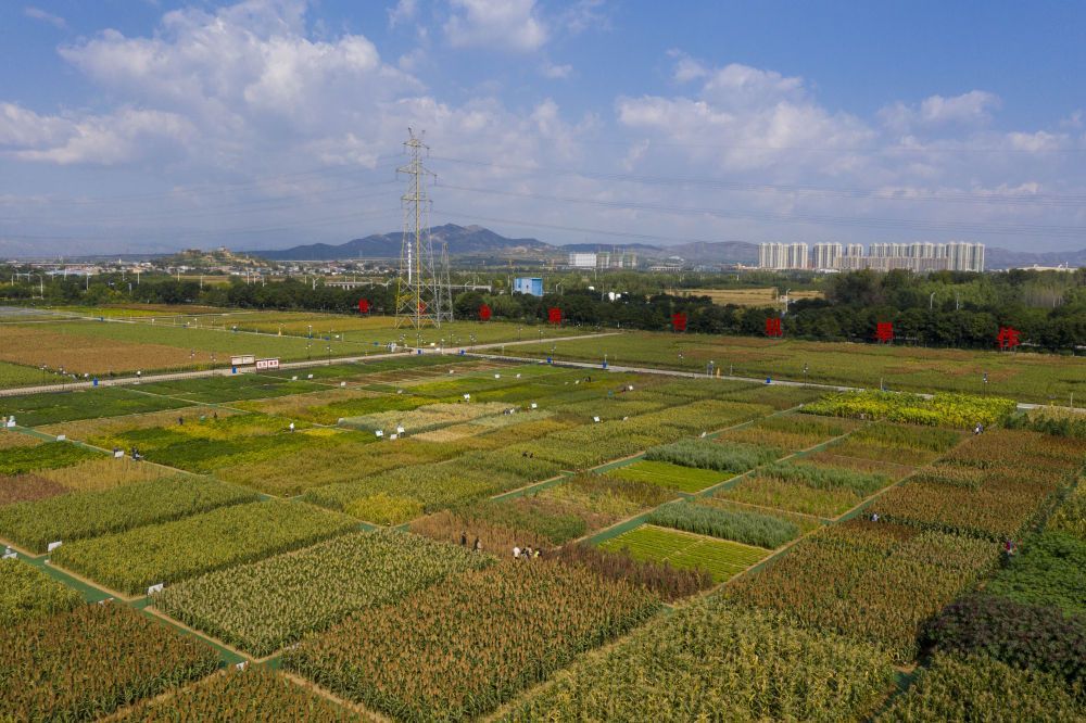 解放军破晓出击现场画面