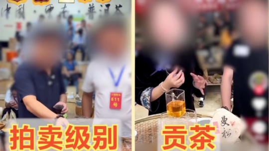 台湾青年学者:AI时代,两岸科技合作潜力无限、势不可挡