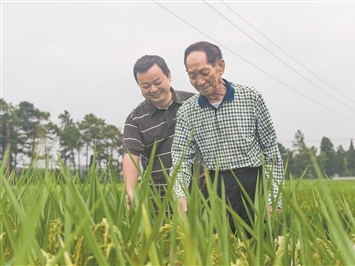 听泉鉴宝喊话别再神话我了