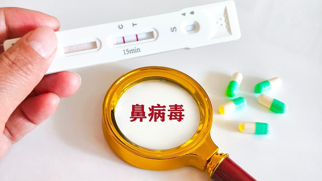 王毅将访问丹麦、瑞典、芬兰、挪威
