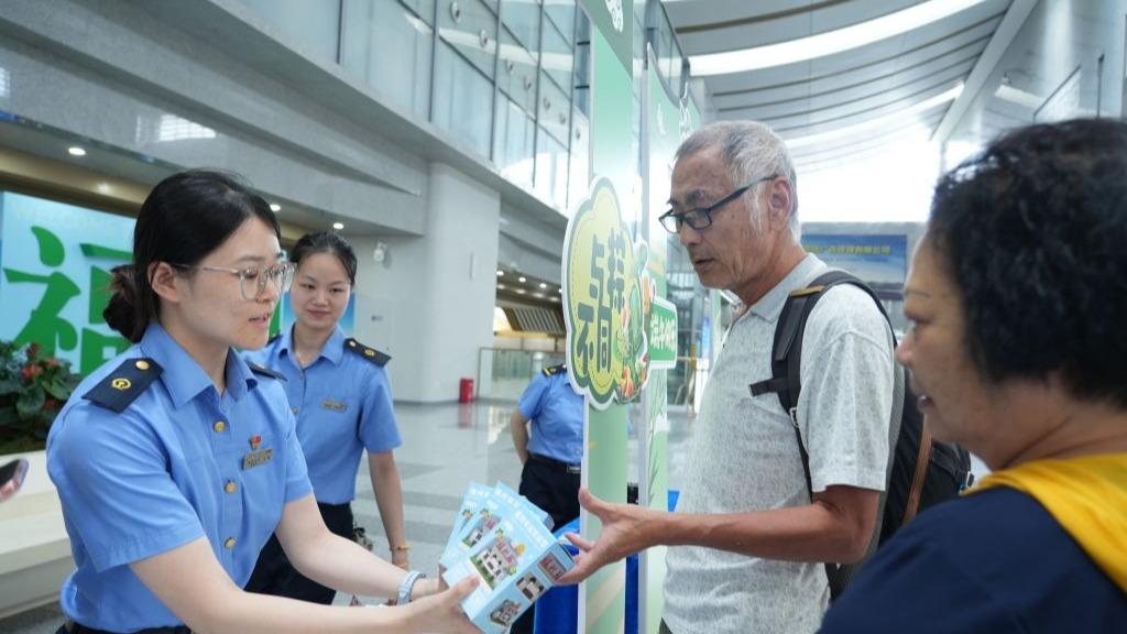 王毅会见埃及国家安全委员会秘书长埃尔丁