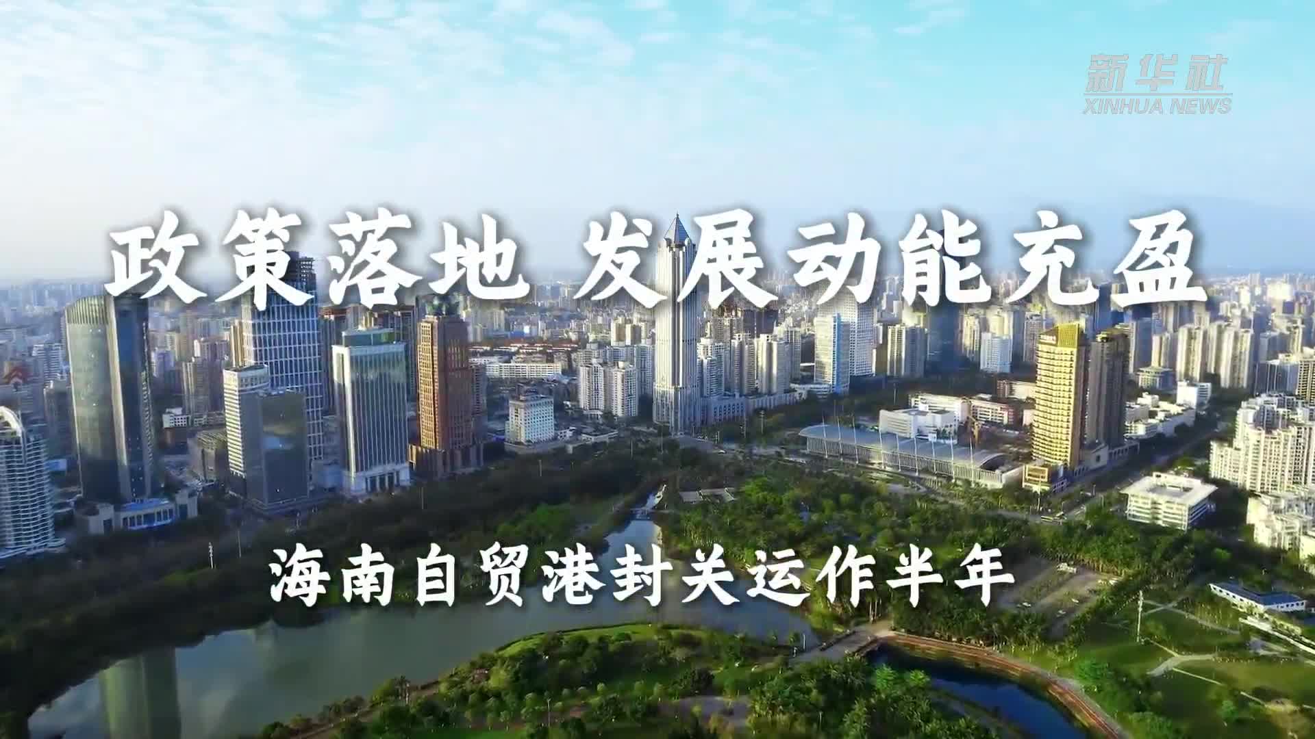 文章模仿向佐动作