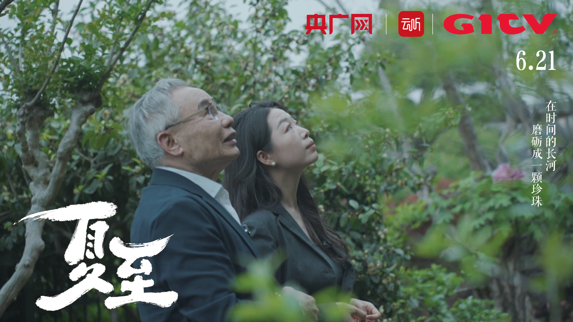 成全视频在线观看免费观看片