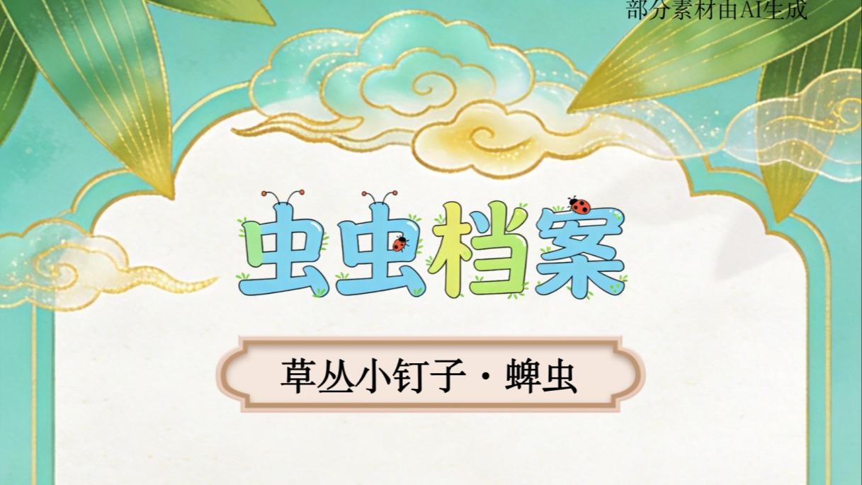 谢娜还是太超前了